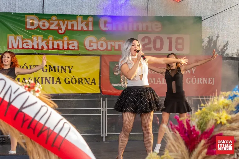 Dożynki gminne w Małkini Górnej (zdjęcia, wideo)