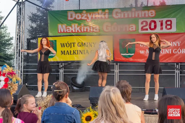 Dożynki gminne w Małkini Górnej (zdjęcia, wideo)