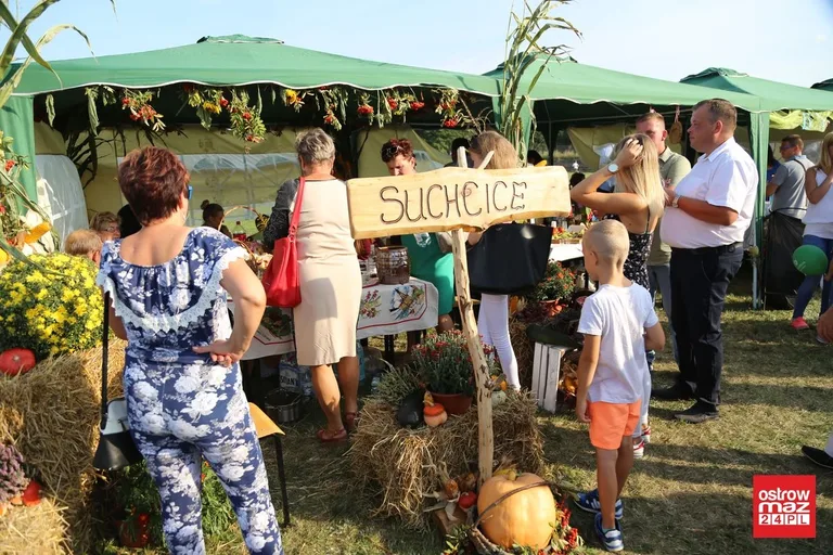 Moc atrakcji i zabawy na Jarmarkach Czerwińskich (zdjęcia, wideo)