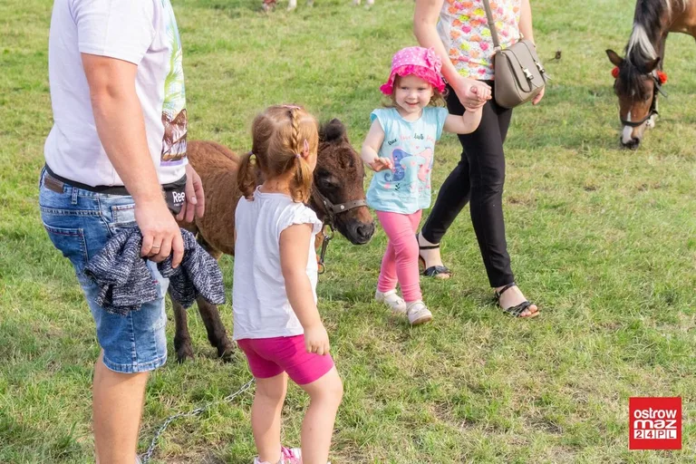 Dni Kukurydzy w Andrzejewie (zdjęcia, wideo)