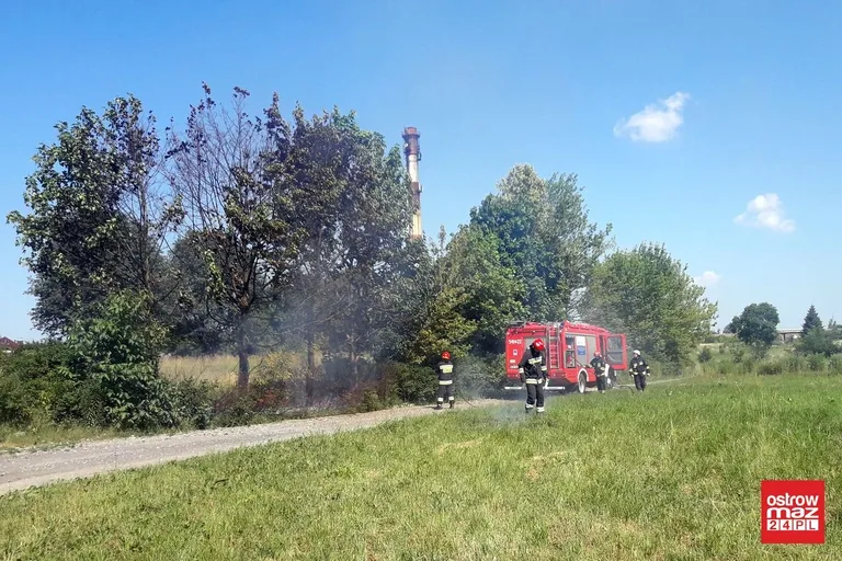 Pożar przy ul. Lipowej. Strażacy interweniowali dwukrotnie (zdjęcia)