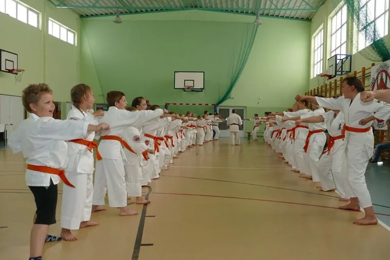 Egzaminy w Klubie Karate Kyokushin Ronin (zdjęcia)