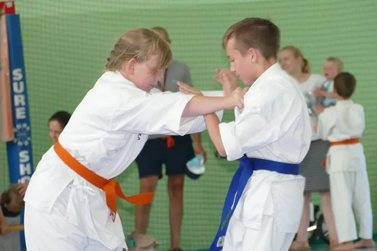 Egzaminy w Klubie Karate Kyokushin Ronin (zdjęcia)