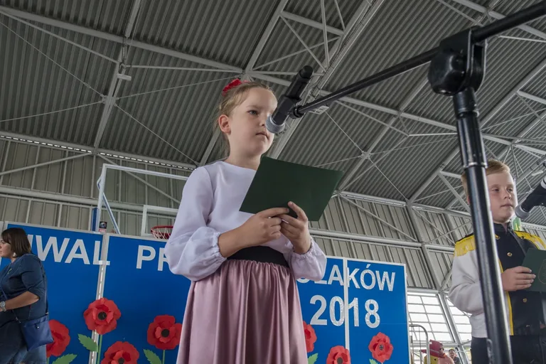 Dni Ostrowi 2018 - Festiwal Przedszkolaka (zdjęcia, wideo)