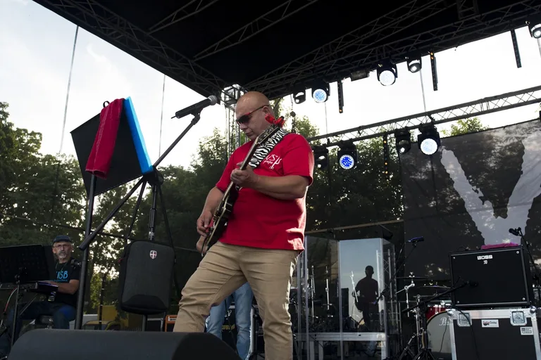 Koncert zespołu Chrząszcze podczas dni miasta (zdjęcia, wideo)