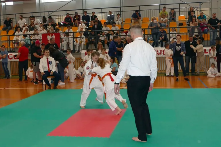 Grad medali KKK Ronin w Wysokiem Mazowieckiem (zdjęcia)