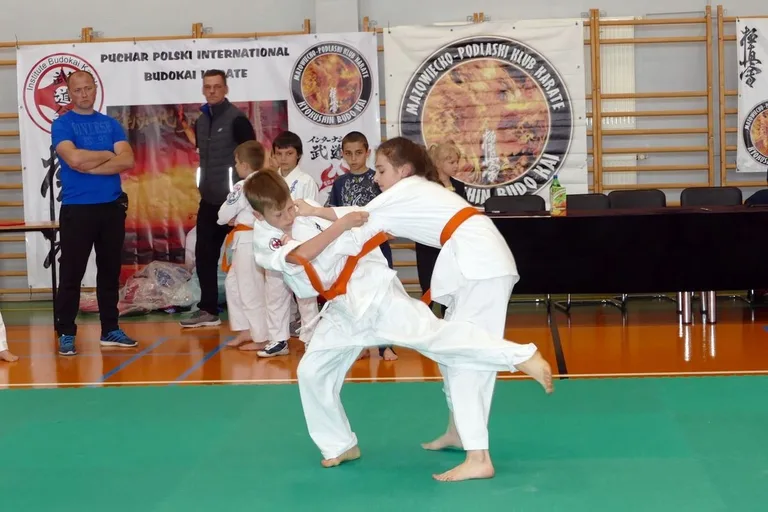 Grad medali KKK Ronin w Wysokiem Mazowieckiem (zdjęcia)
