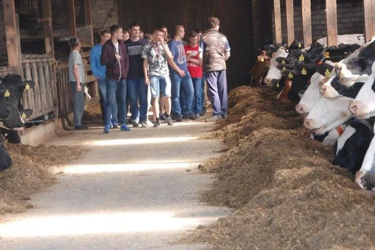Zagraniczny staż uczniów ze Starego Lubiejewa (zdjęcia)