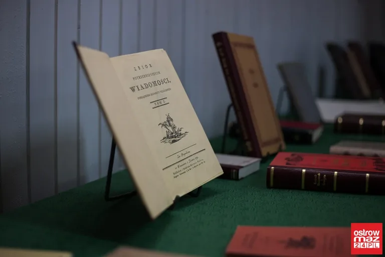 Piękne dzieła na wystawie ostrowskiej biblioteki (zdjęcia)