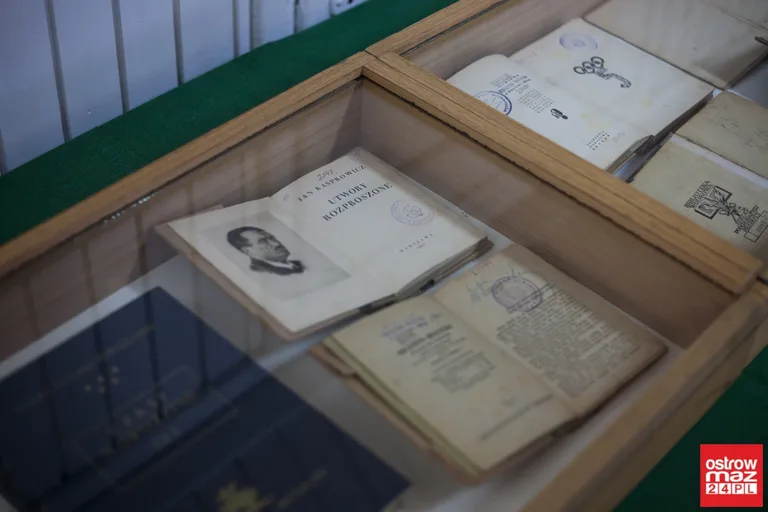 Piękne dzieła na wystawie ostrowskiej biblioteki (zdjęcia)