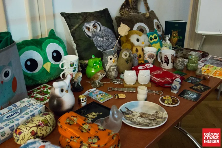 "Noc Sów" w Ostrowi Mazowieckiej (zdjęcia, wideo)
