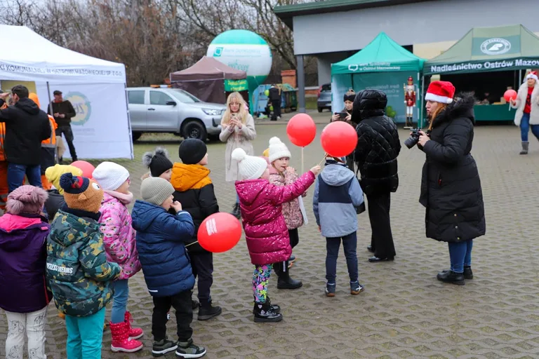 Ponad 200 choinek trafiło do mieszkańców Ostrowi! Ekologiczna akcja zakończona sukcesem! (zdjęcia)