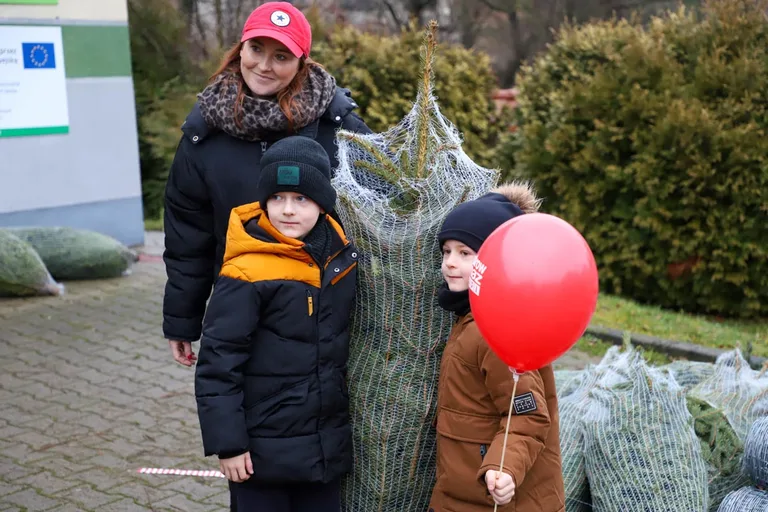Ponad 200 choinek trafiło do mieszkańców Ostrowi! Ekologiczna akcja zakończona sukcesem! (zdjęcia)
