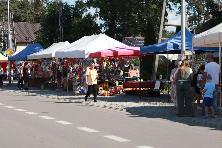 Tradycyjna pielgrzymka do Wąsewa. Doroczny Odpust Narodzenia Najświętszej Maryi Panny (zdjęcia)