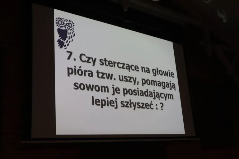 VIII Noc z Sowami w Ostrowi Mazowieckiej (zdjęcia)