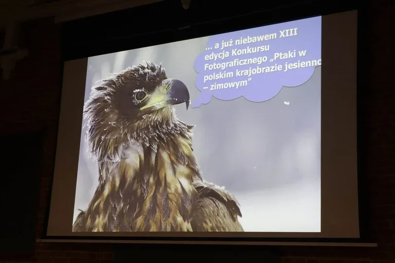 VIII Noc z Sowami w Ostrowi Mazowieckiej (zdjęcia)