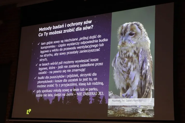 VIII Noc z Sowami w Ostrowi Mazowieckiej (zdjęcia)