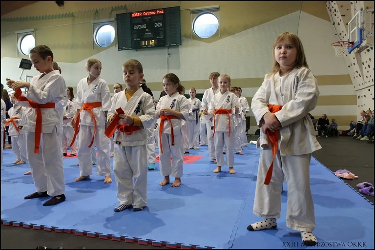 XXIII Mistrzostwa Ostrowskiego Klubu Karate Kyokushinkai (zdjęcia)