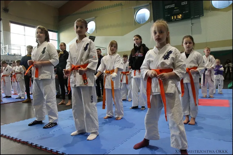 XXIII Mistrzostwa Ostrowskiego Klubu Karate Kyokushinkai (zdjęcia)