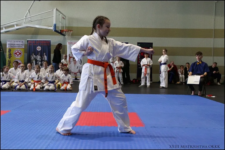 XXIII Mistrzostwa Ostrowskiego Klubu Karate Kyokushinkai (zdjęcia)