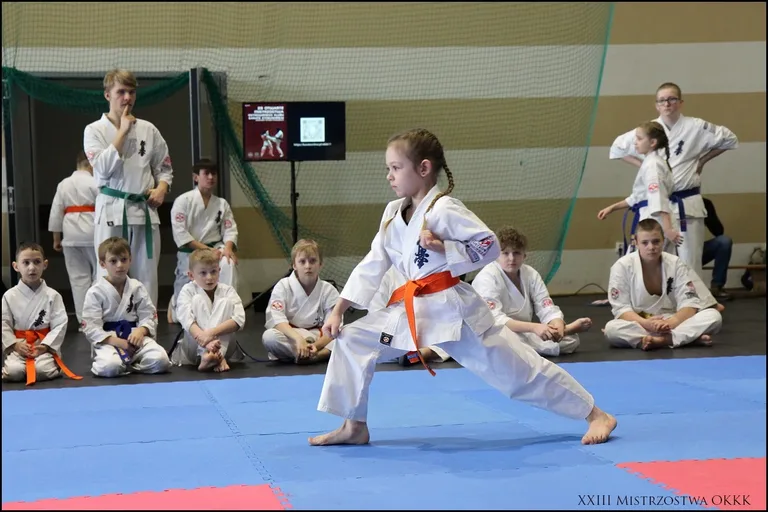 XXIII Mistrzostwa Ostrowskiego Klubu Karate Kyokushinkai (zdjęcia)