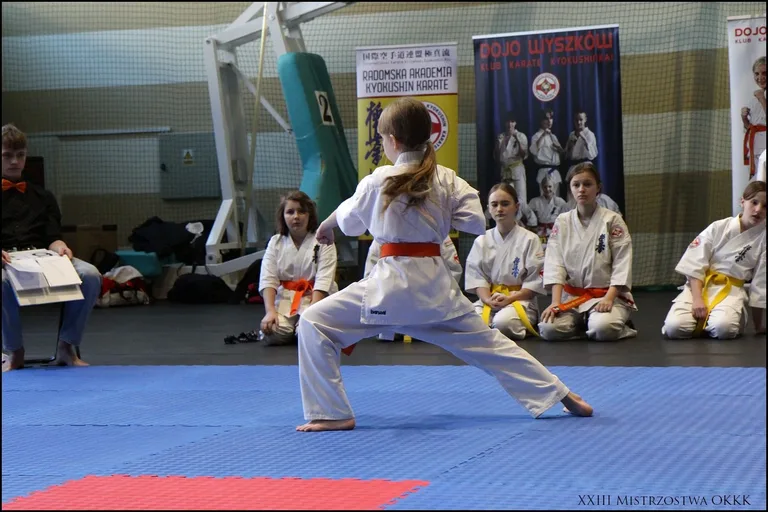 XXIII Mistrzostwa Ostrowskiego Klubu Karate Kyokushinkai (zdjęcia)