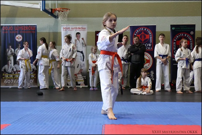 XXIII Mistrzostwa Ostrowskiego Klubu Karate Kyokushinkai (zdjęcia)