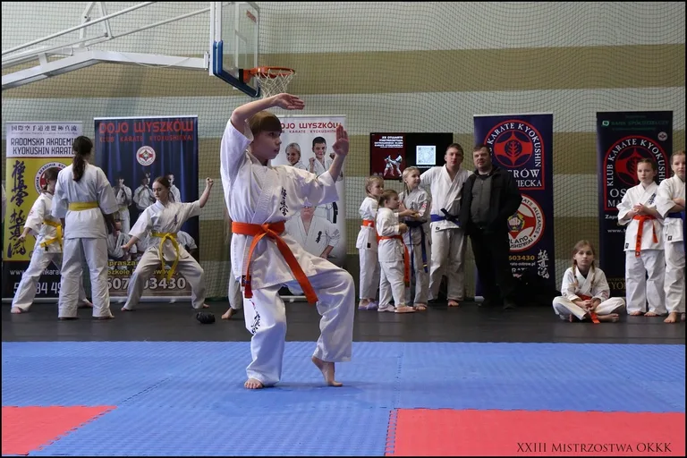 XXIII Mistrzostwa Ostrowskiego Klubu Karate Kyokushinkai (zdjęcia)
