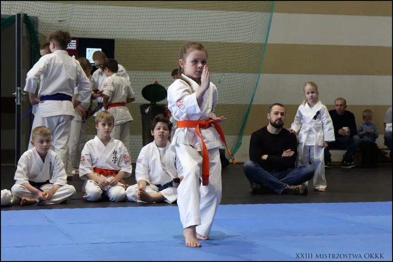 XXIII Mistrzostwa Ostrowskiego Klubu Karate Kyokushinkai (zdjęcia)