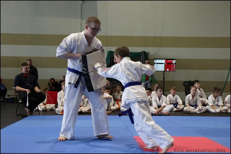 XXIII Mistrzostwa Ostrowskiego Klubu Karate Kyokushinkai (zdjęcia)