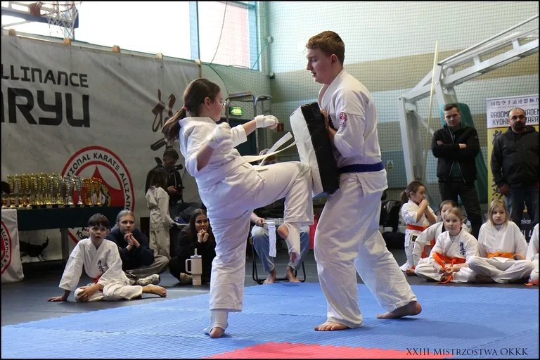 XXIII Mistrzostwa Ostrowskiego Klubu Karate Kyokushinkai (zdjęcia)