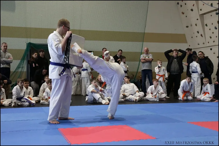 XXIII Mistrzostwa Ostrowskiego Klubu Karate Kyokushinkai (zdjęcia)