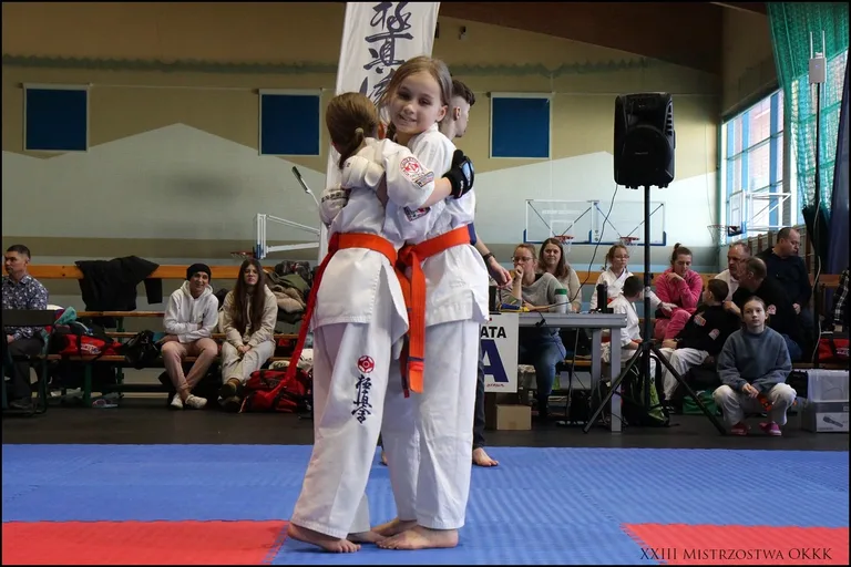 XXIII Mistrzostwa Ostrowskiego Klubu Karate Kyokushinkai (zdjęcia)