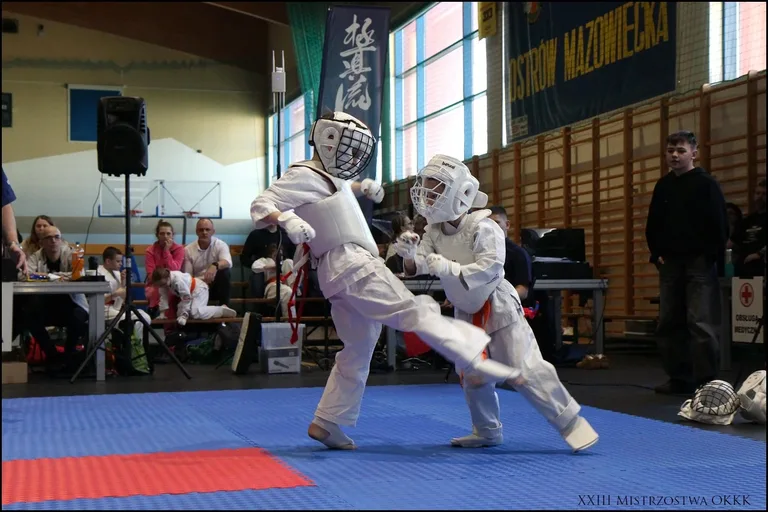 XXIII Mistrzostwa Ostrowskiego Klubu Karate Kyokushinkai (zdjęcia)