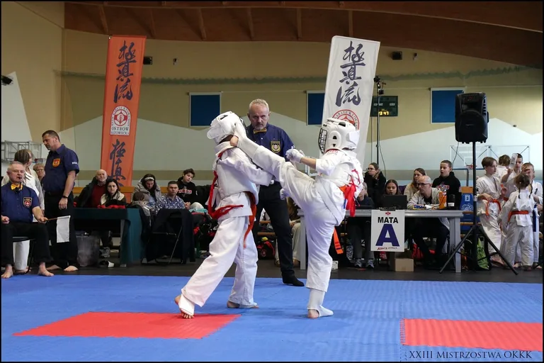 XXIII Mistrzostwa Ostrowskiego Klubu Karate Kyokushinkai (zdjęcia)