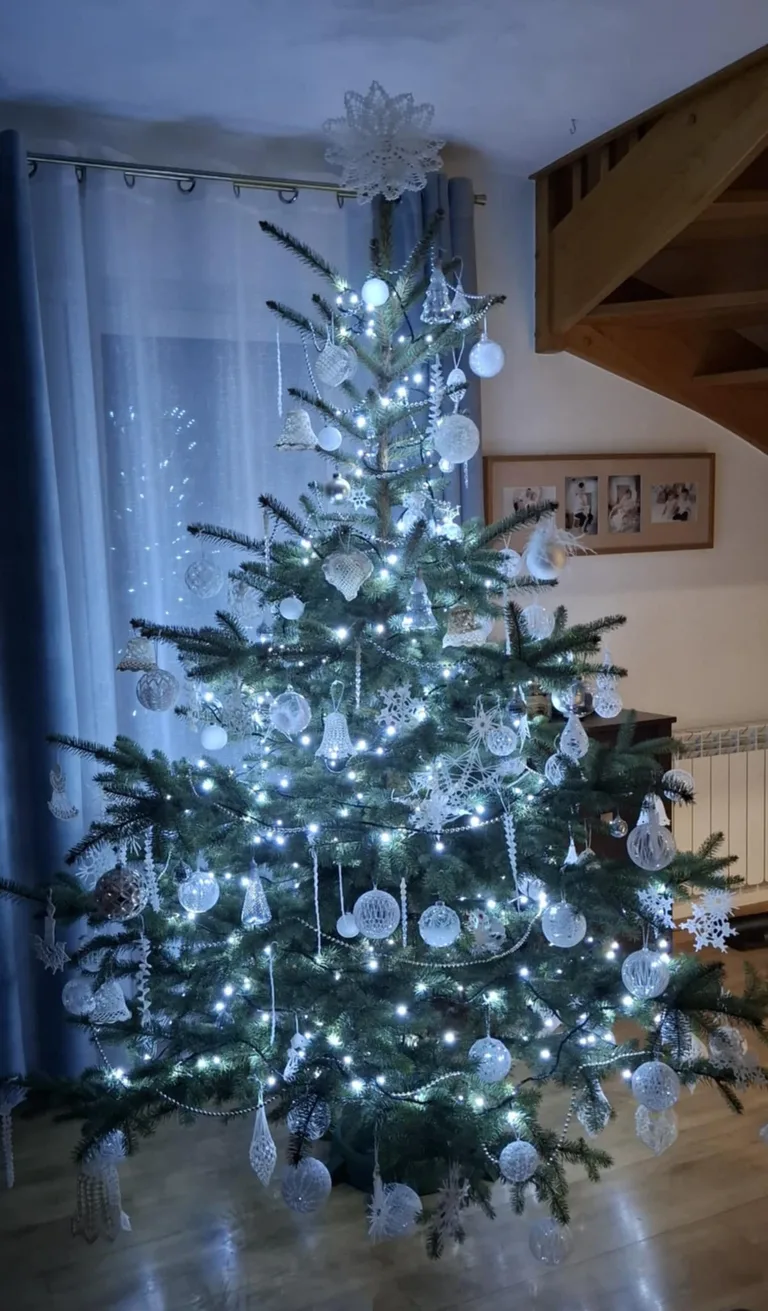 Konkurs rozstrzygnięty, nagroda odebrana (zdjęcia)