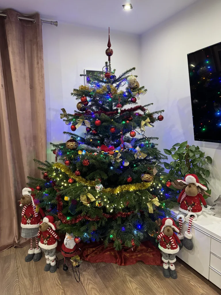 Konkurs rozstrzygnięty, nagroda odebrana (zdjęcia)