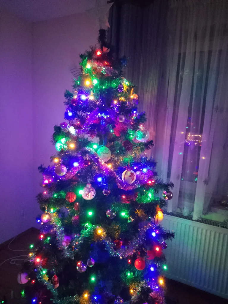 Konkurs rozstrzygnięty, nagroda odebrana (zdjęcia)