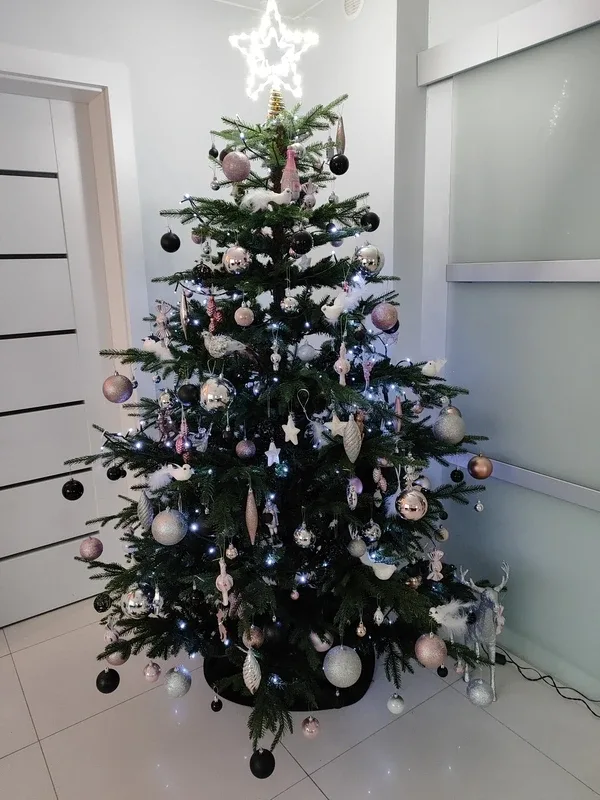 Konkurs rozstrzygnięty, nagroda odebrana (zdjęcia)