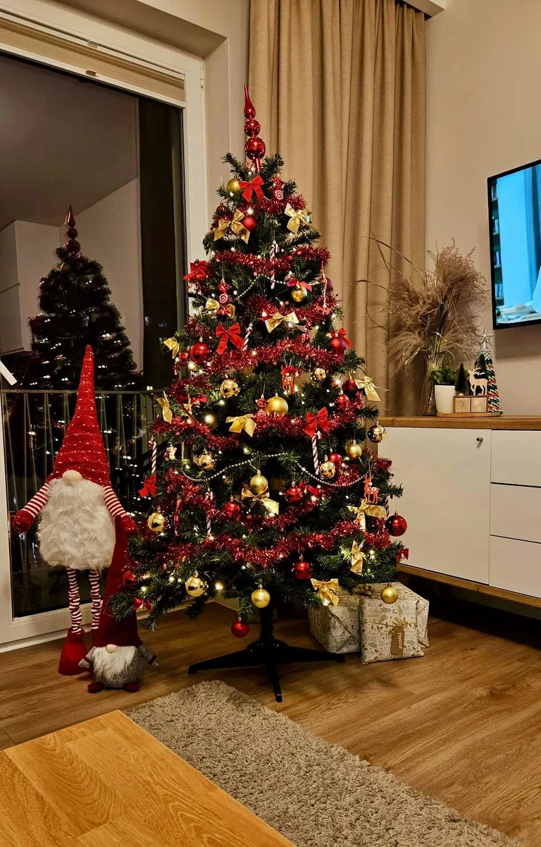 Konkurs rozstrzygnięty, nagroda odebrana (zdjęcia)