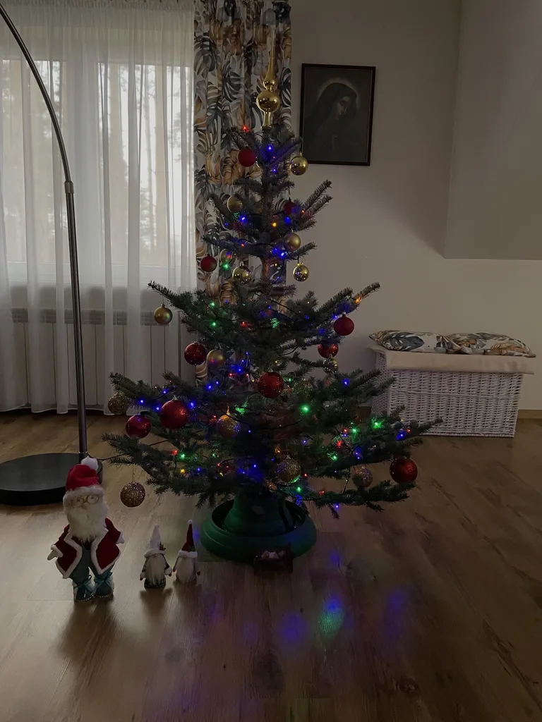 Konkurs rozstrzygnięty, nagroda odebrana (zdjęcia)