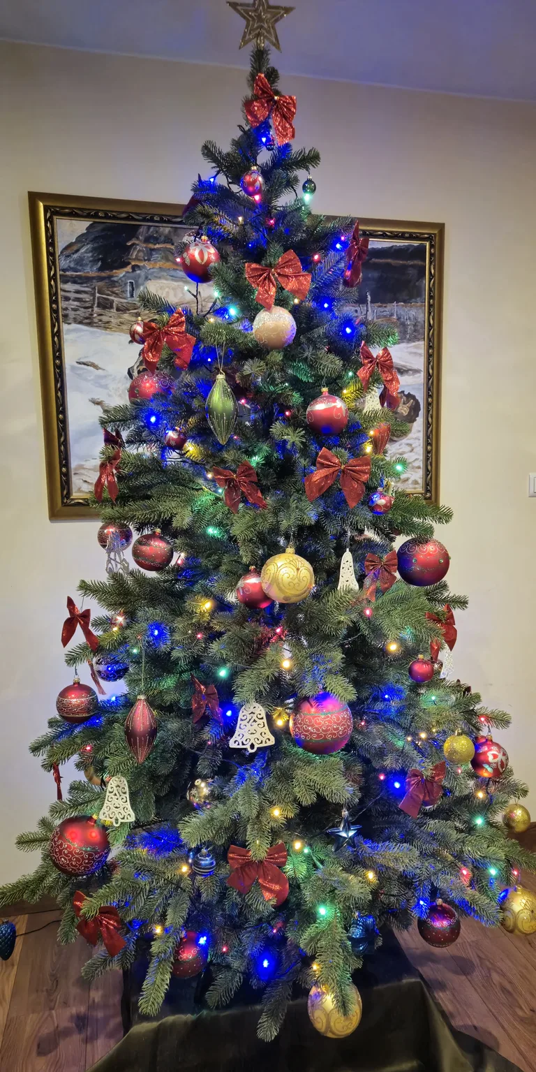 Konkurs rozstrzygnięty, nagroda odebrana (zdjęcia)