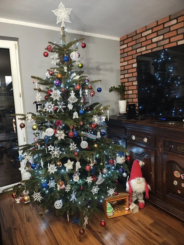 Konkurs rozstrzygnięty, nagroda odebrana (zdjęcia)