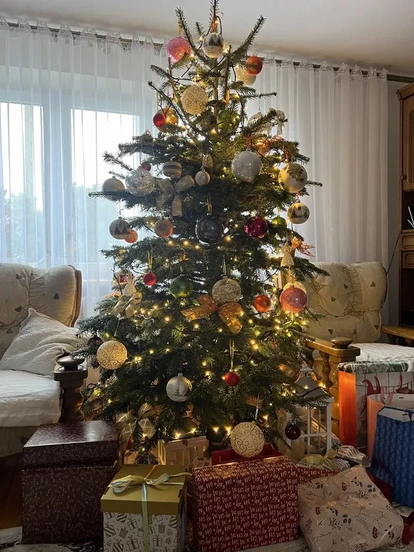 Konkurs rozstrzygnięty, nagroda odebrana (zdjęcia)