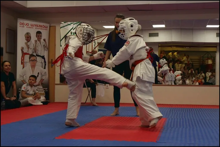 Turniej Mikołajkowy w Ostrowskim Klubie Karate Kyokushinkai (zdjęcia)
