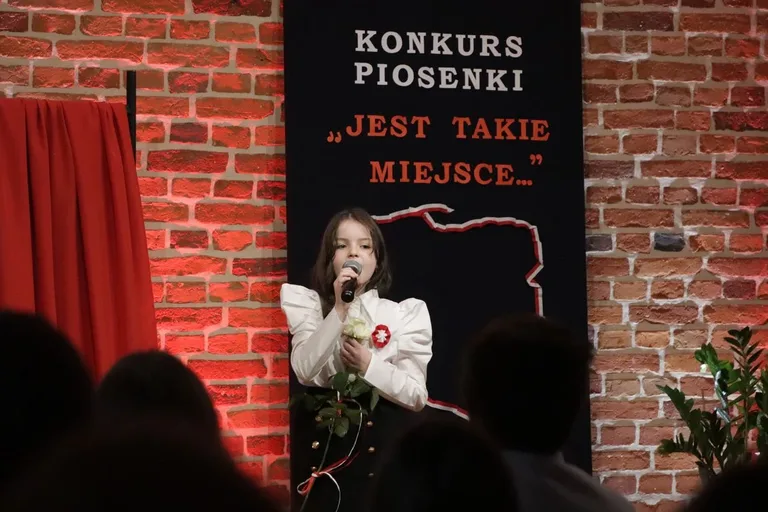 Festiwal Pieśni i Piosenki Patriotycznej "Jest takie miejsce..." w Ostrowi Mazowieckiej (zdjęcia)