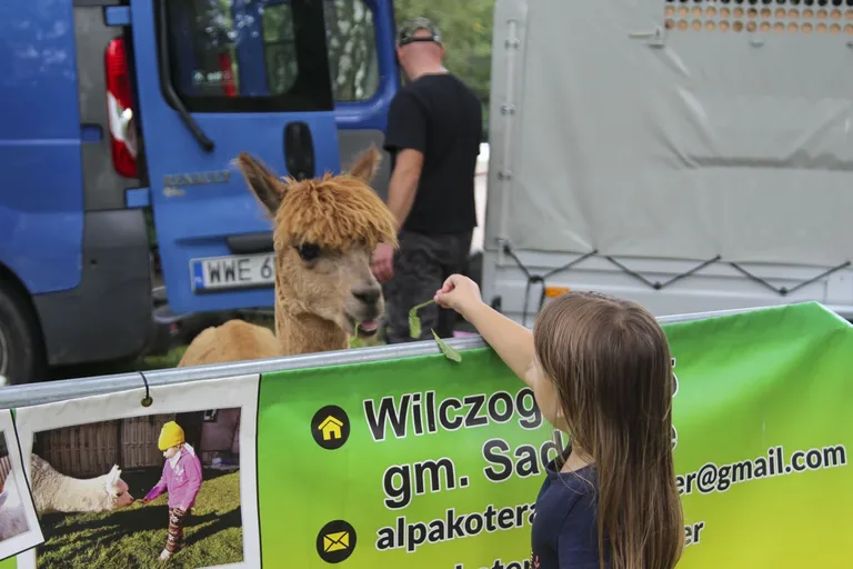 W Komorowie hucznie pożegnano wakacje (zdjęcia)