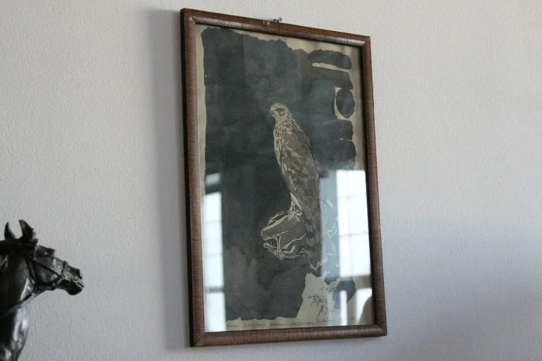 Kultura łowiecka na wyciągnięcie ręki - Odkryj tajemnice "Dnia z życia myśliwego"! (zdjęcia)