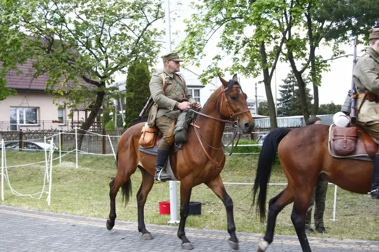 Wspaniała Diorama Historyczna Pułku Ułanów podczas VII Święta Rotmistrza Pileckiego (zdjęcia)