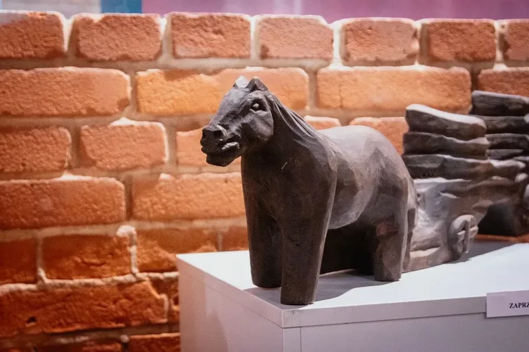 Wyjątkowe występy podczas Koncertu Młodych Muzyków (zdjęcia)